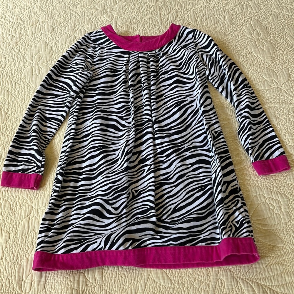 Zebra stripe mini dress